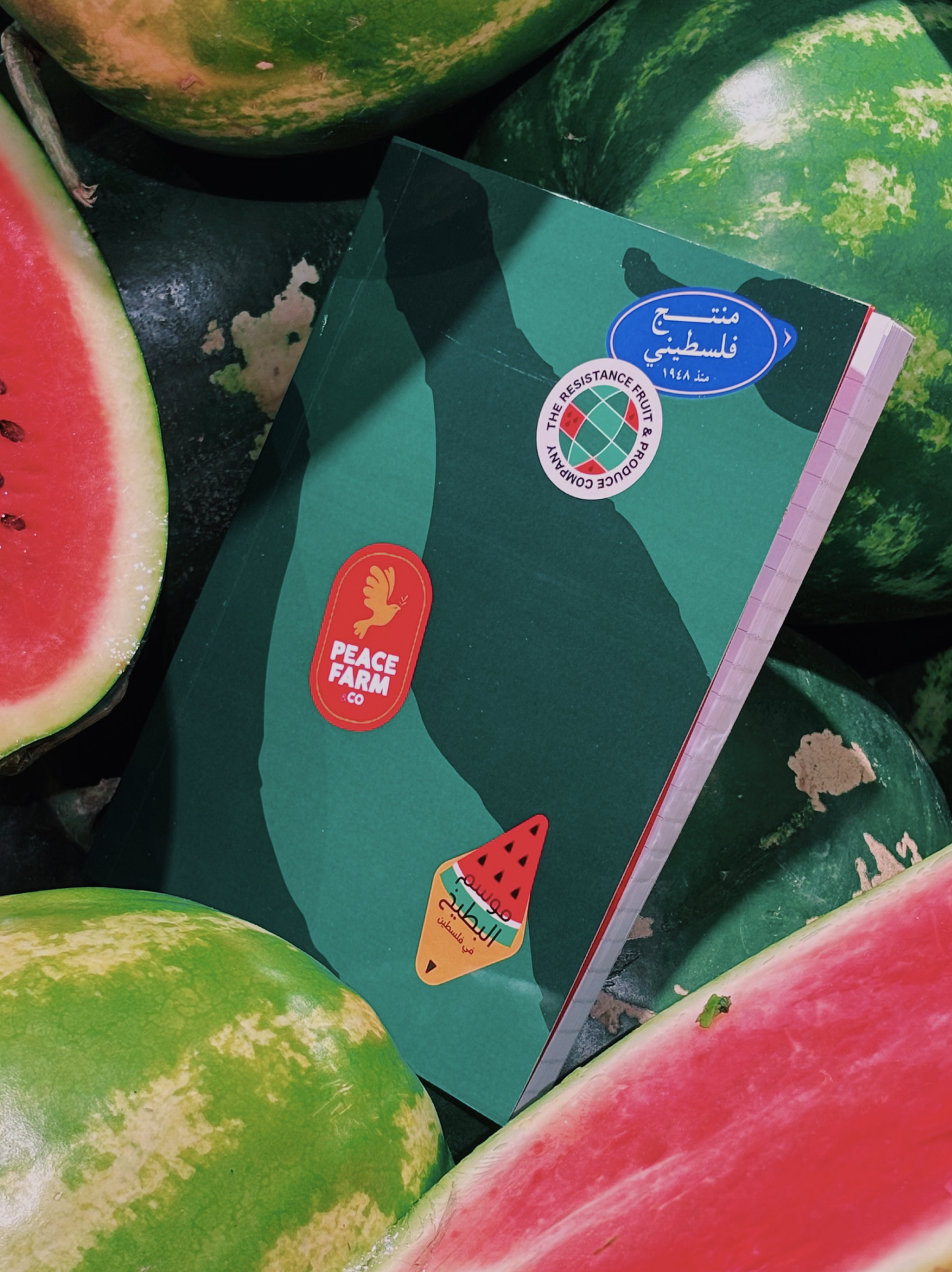 Watermelon Notebook Package