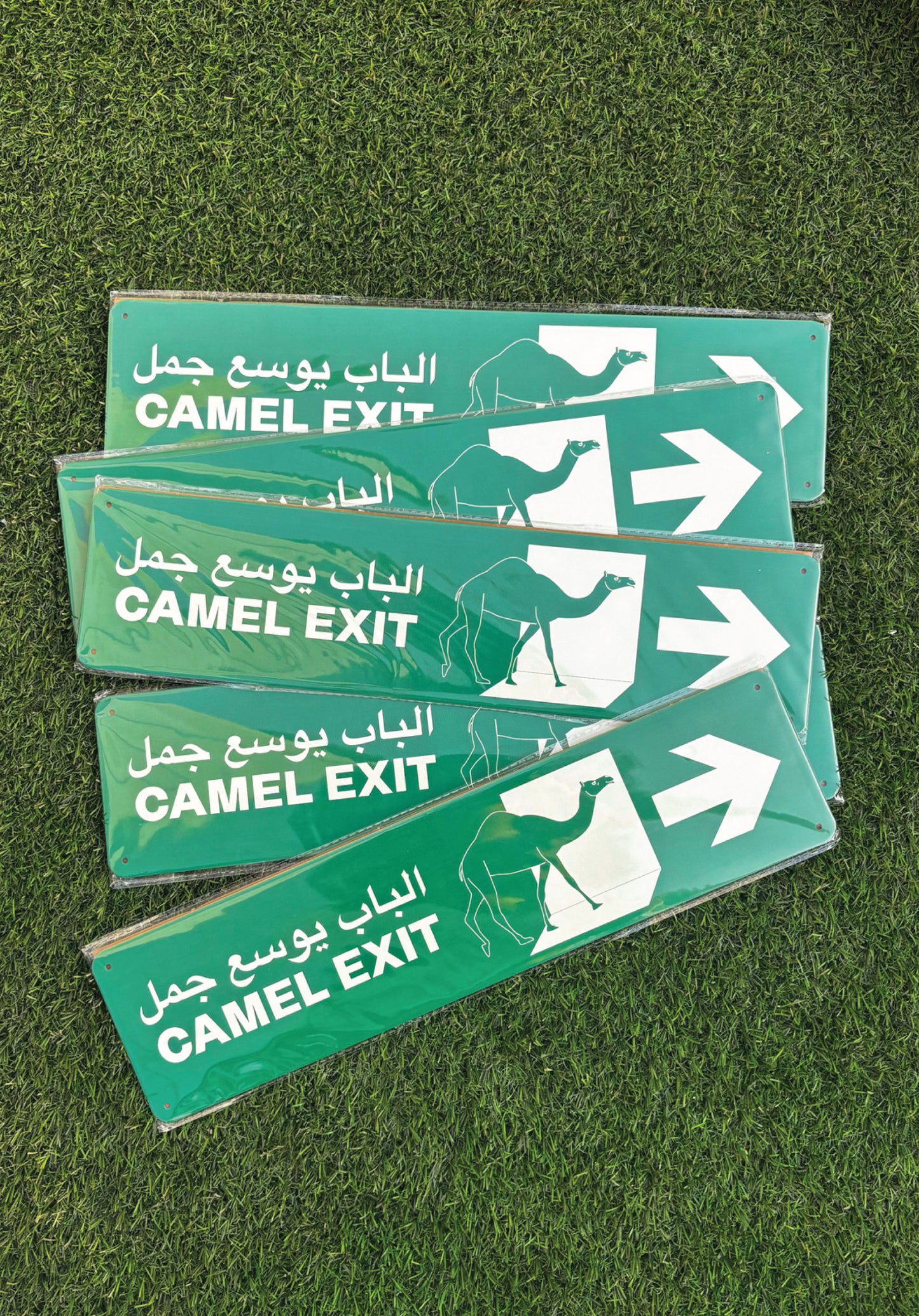 Camel Exit Sign